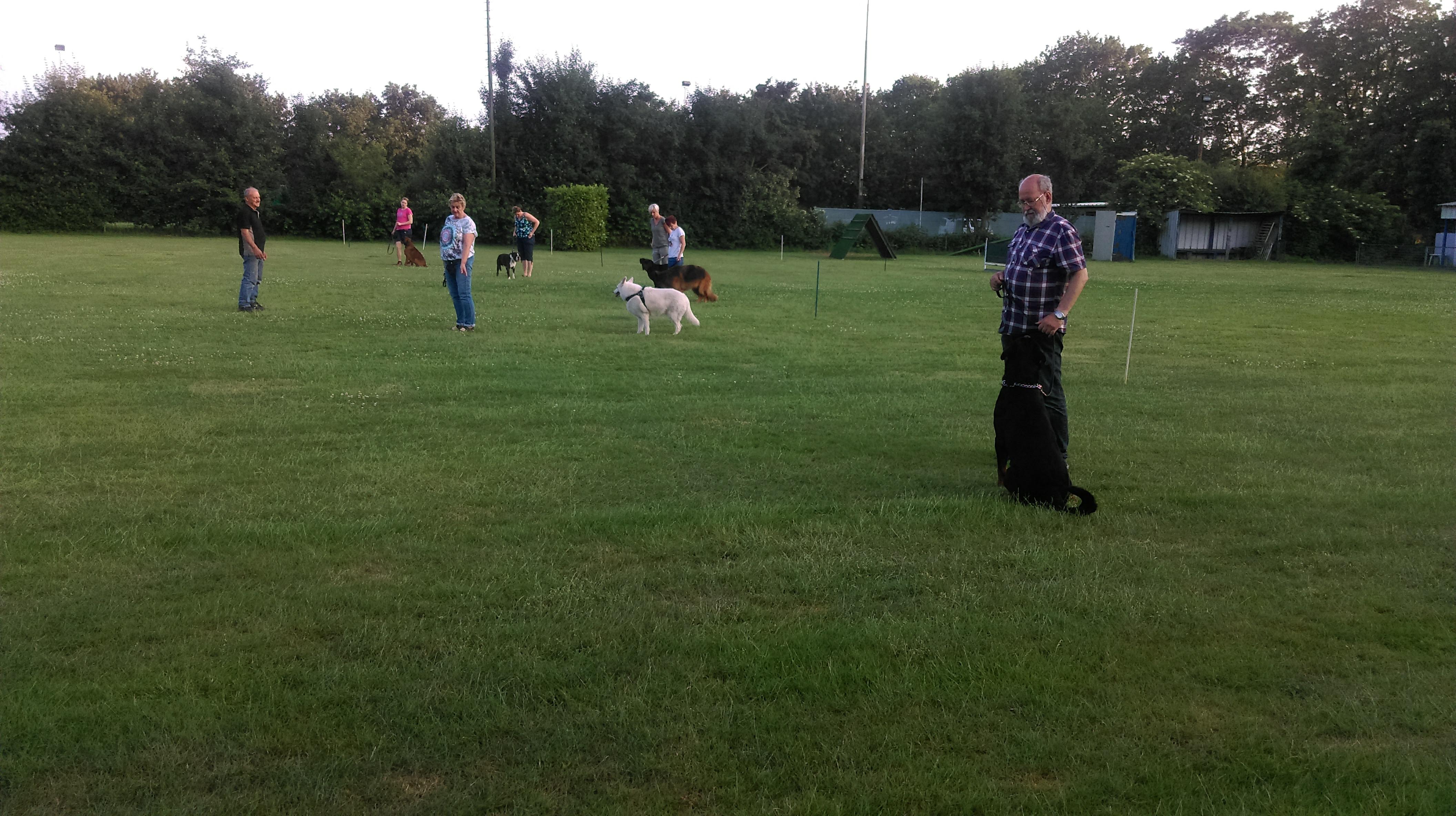 Hondentraining 5