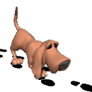 Speurhond